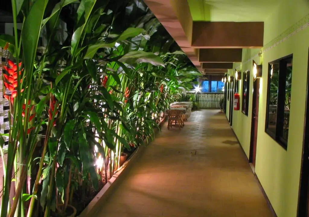Чиангмай: T-Room Guest House