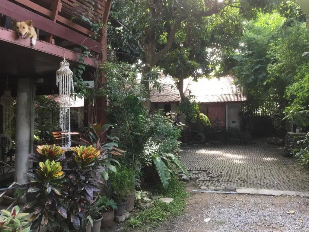 Чиангмай: Baan Songjum Homestay