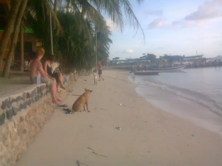 Ко-Пханган: Black & White Guesthouse & Minimart