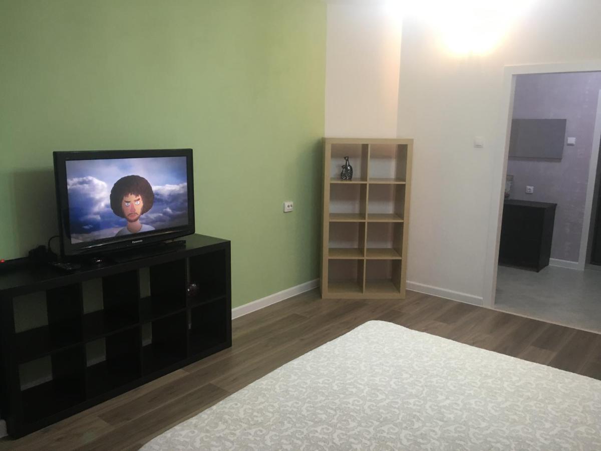 Новосибирск: Apartment Koltsovo Park