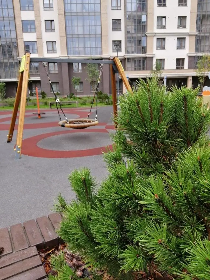 Новосибирск: Квартира - студия в новом ЖК История