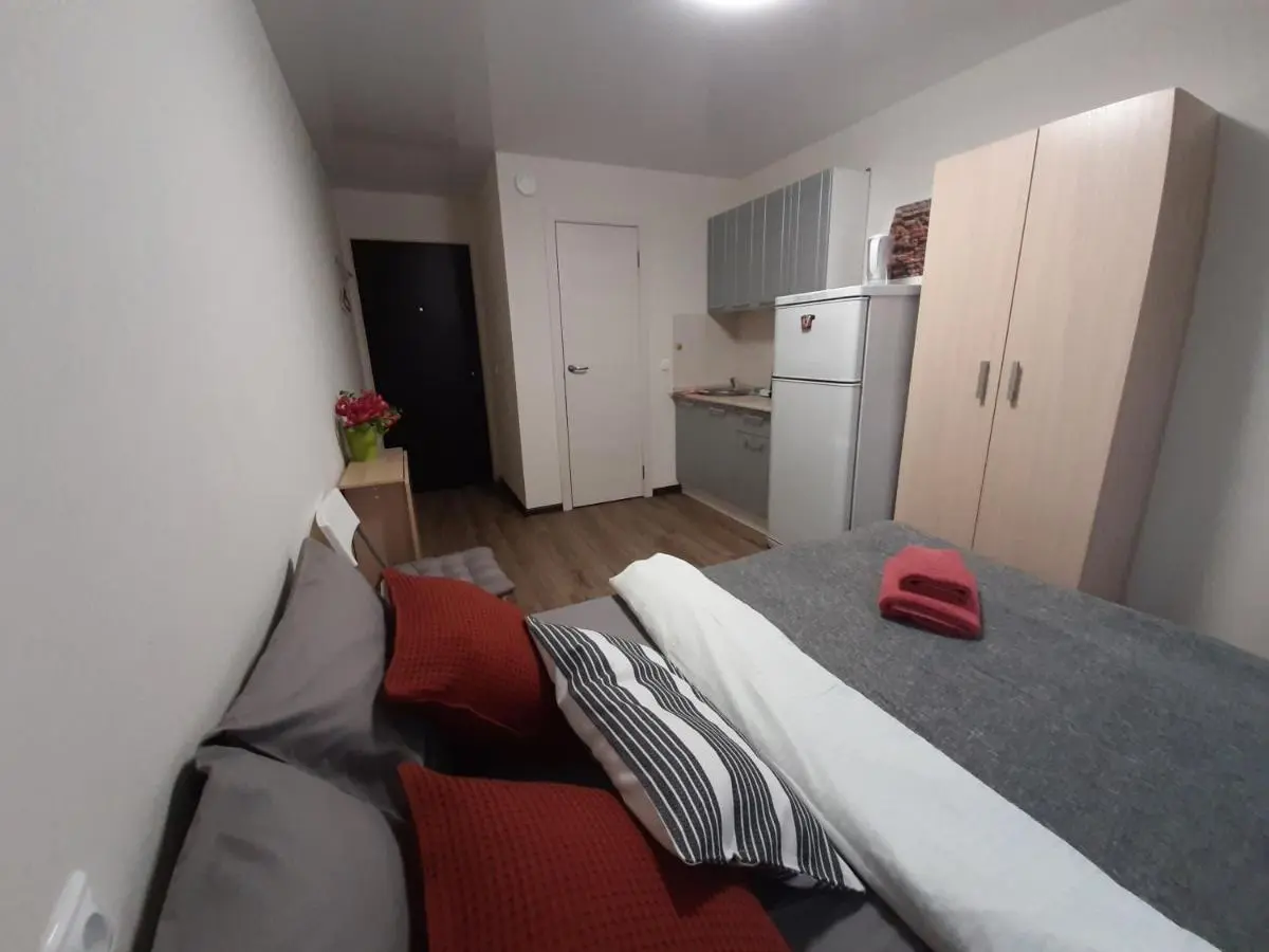 Новосибирск: Studio apartment metro Gagarinskaya