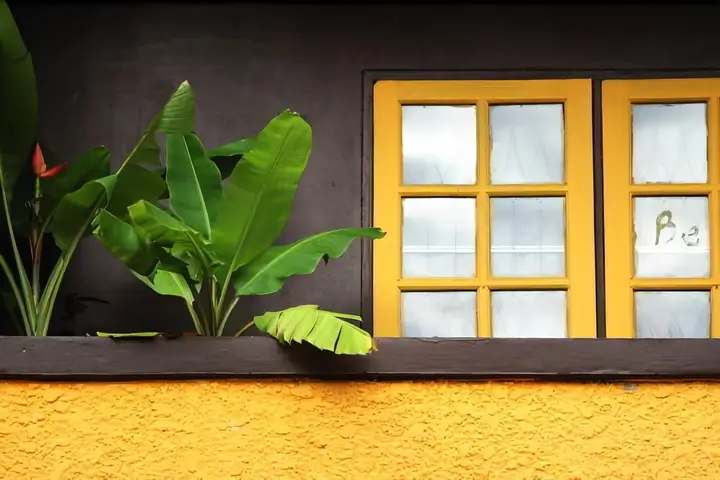 Чиангмай: Be Beez Cafe and Guesthouse