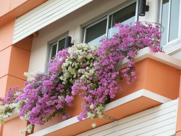Бангкок: Sandy Serviced Apartment