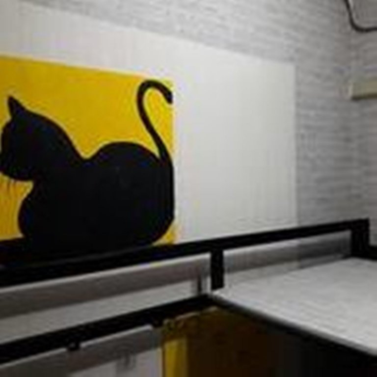 Бангкок: Bed Bangkok Hostel