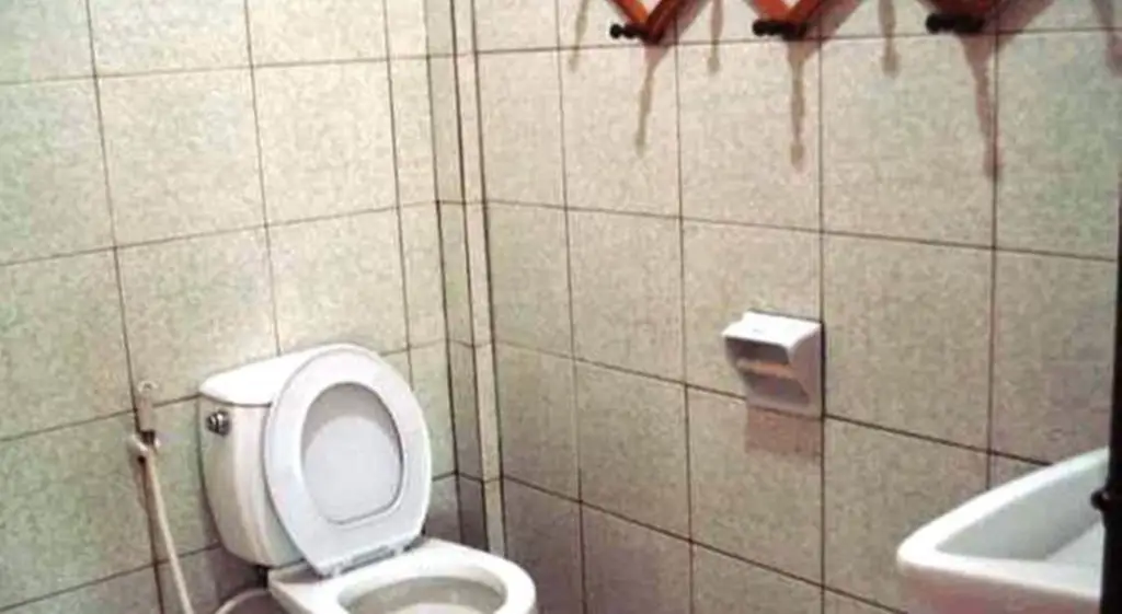 Чианграй: Baan Bua Guest House