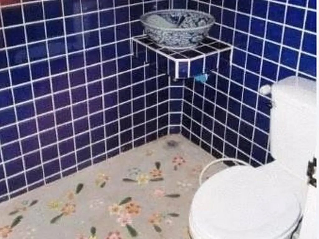 Сукотай: Orchid Hibiscus Guest House
