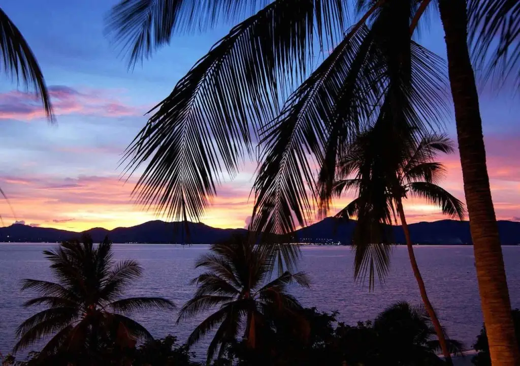 Пхукет: ibis Phuket Patong
