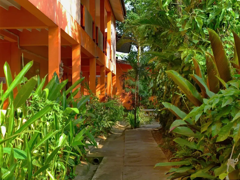 Чиангмай: Hollanda Montri Guesthouse