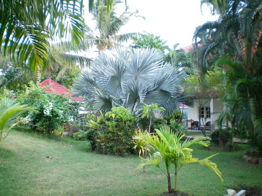 Пхукет: Patong Palace Hotel