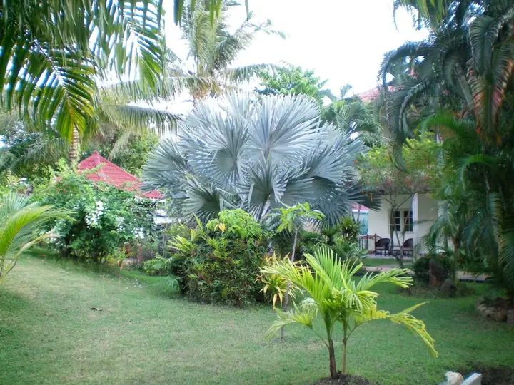 Пхукет: Patong Palace Hotel