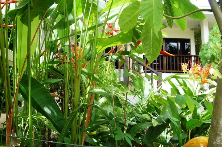Самуи: Baan Sawan Samui Resort