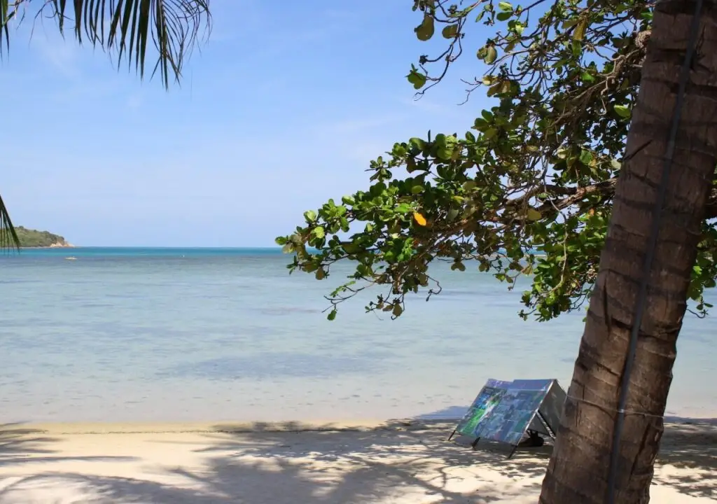 Самуи: Palm Island Hotel