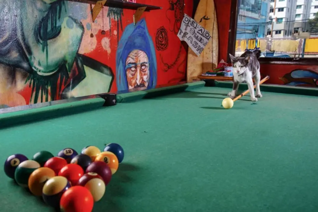 Бангкок: The Overstay Art Hostel