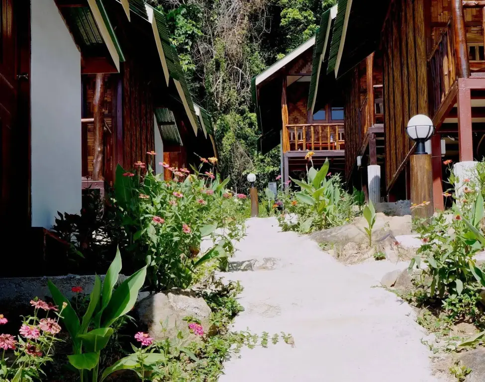 Пхи-Пхи-Дон: Phi Phi Jungle Hill Bungalow