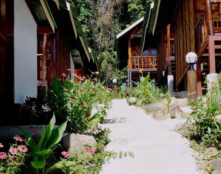 Пхи-Пхи-Дон: Phi Phi Jungle Hill Bungalow