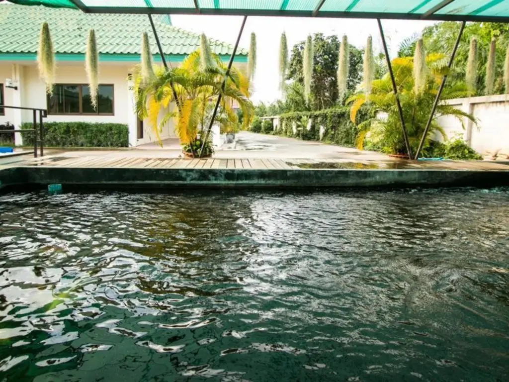 Сураттхани: Paolomareetel Hotel