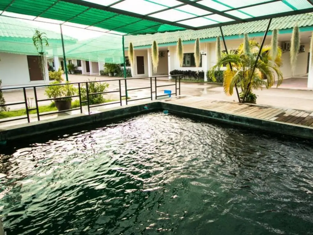 Сураттхани: Paolomareetel Hotel