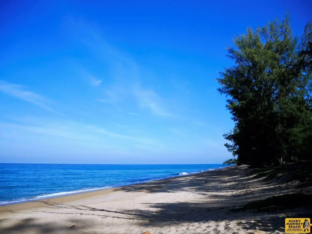 Тхаланг: Micky Monkey Beach Hotel Phuket Maikhao Thailand