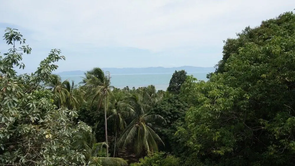 Ко-Пханган: Meridian Khao Tam Bungalow