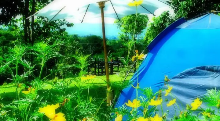 Чианграй: Baan Kiang Dao Phu Plai Fah