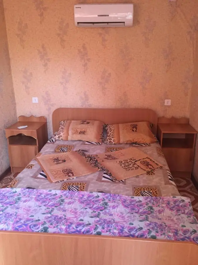 Соль-Илецк: Guest House Irina