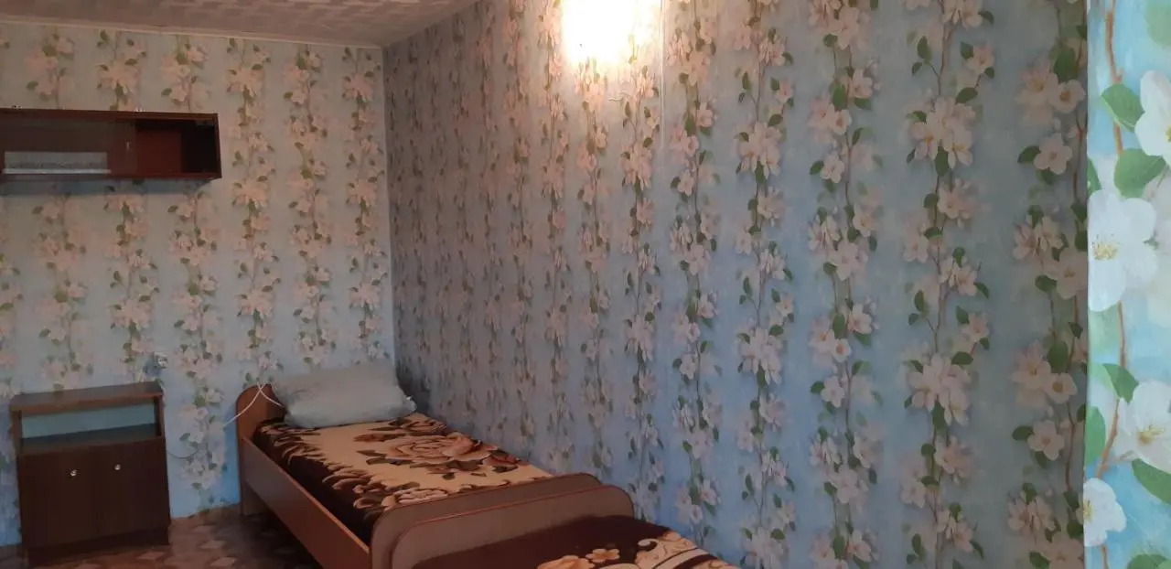 Соль-Илецк: Guest House Olga
