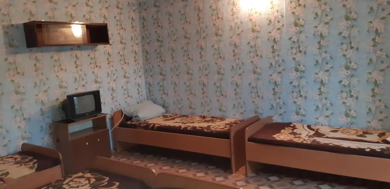 Соль-Илецк: Guest House Olga
