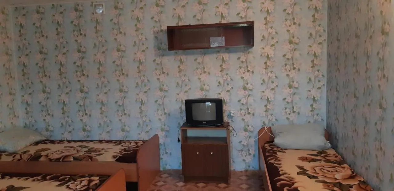 Соль-Илецк: Guest House Olga