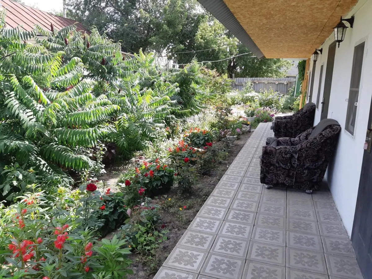 Соль-Илецк: Guest House Olga