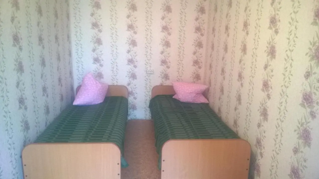Соль-Илецк: Guest House Olga