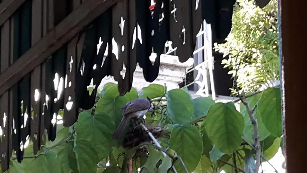 Чиангмай: Home Baan Chiang Mai