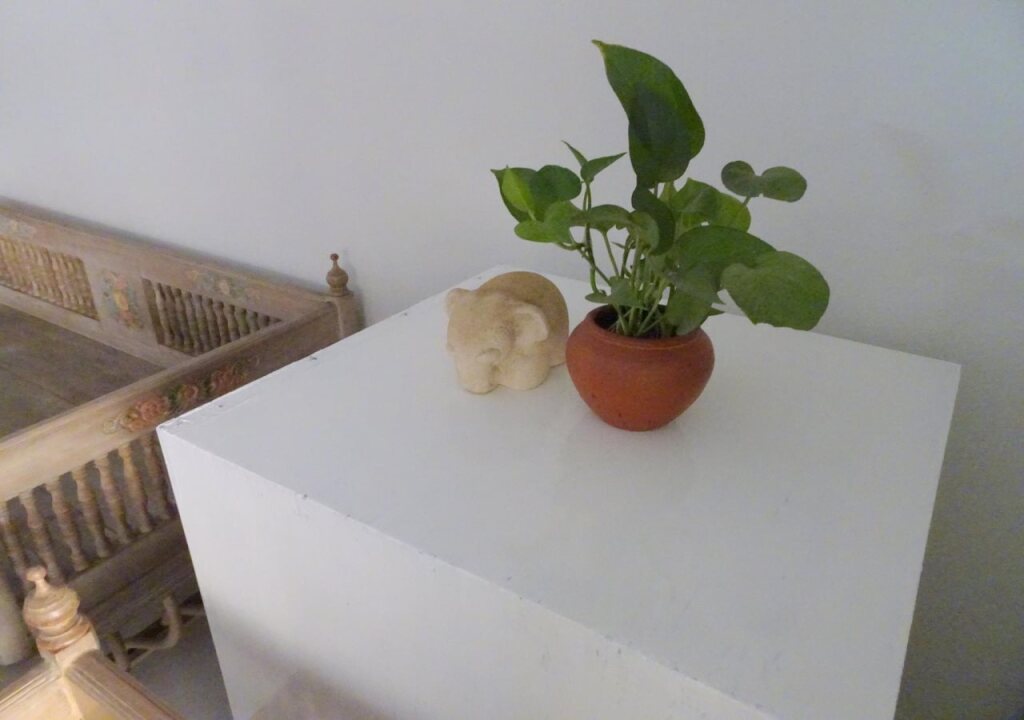 Бангкок: T.T. guesthouse