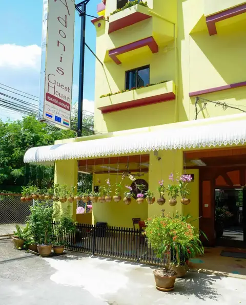 Adonis Guest House — фото 1