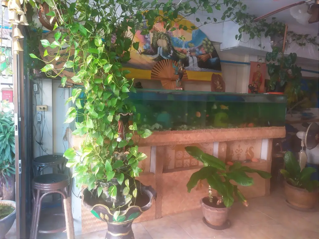 Паттайя: Гостевой дом SV HOUSE