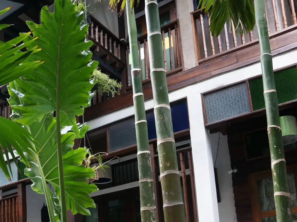 Чиангмай: Ban Chang Tong Hotel