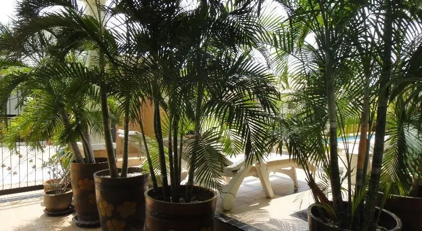 Хуахин: Palm Tree Villa