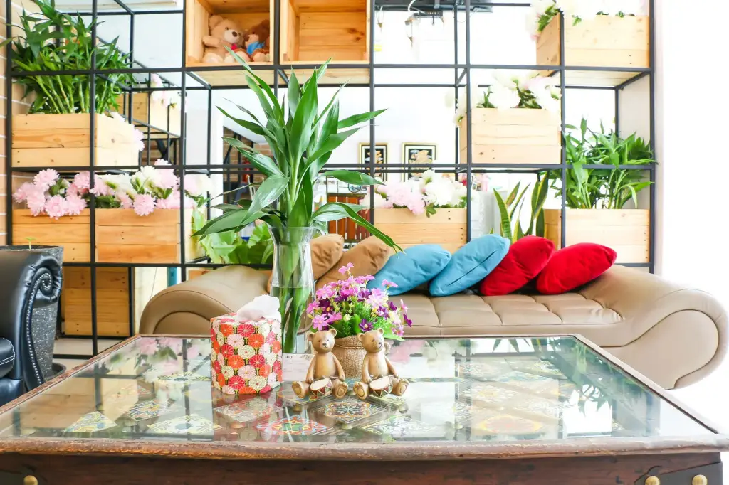 Чиангмай: Little Bear's Home