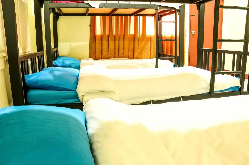 Паттайя: True Hostel
