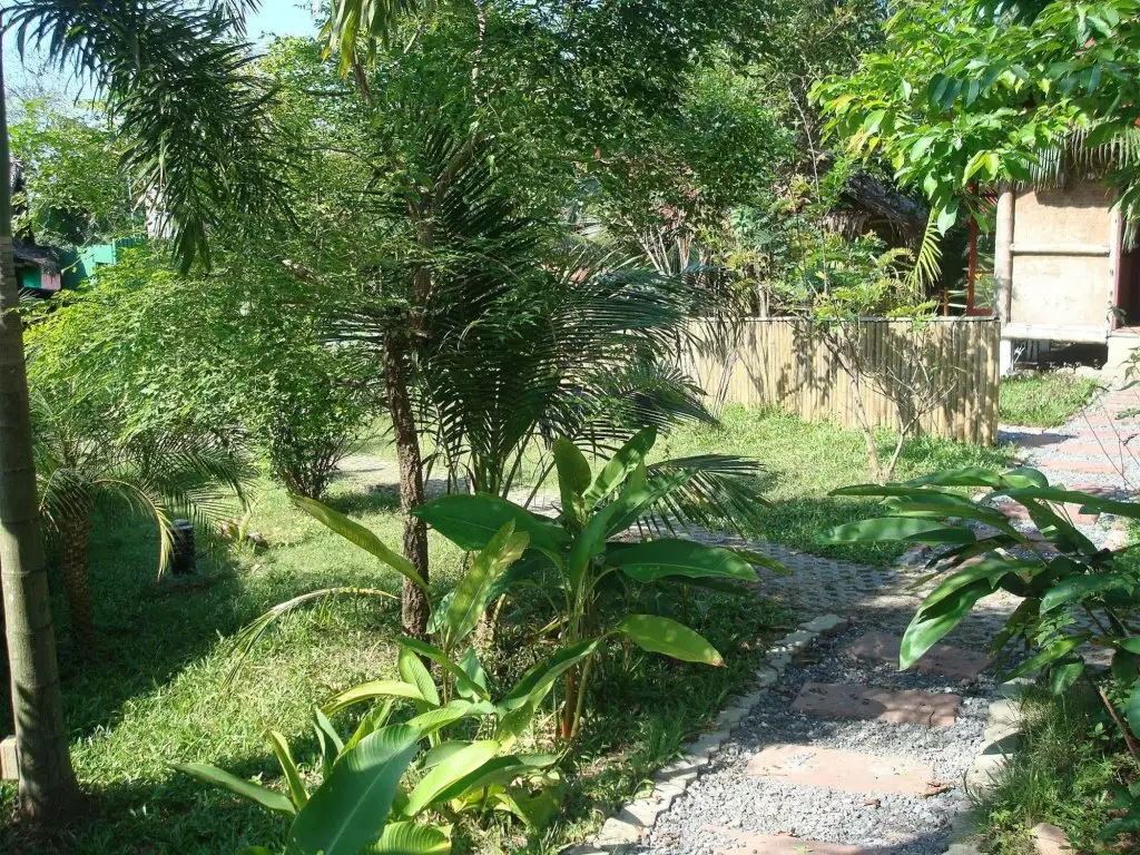 Tropical Garden Lounge — фото 1