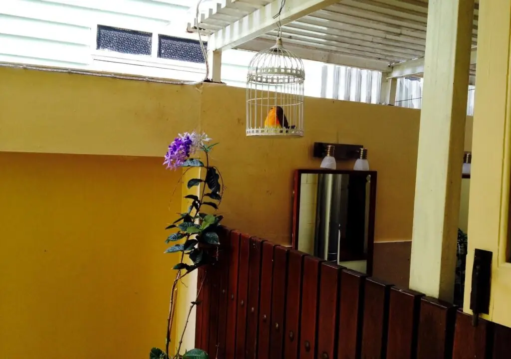 Бангкок: Baan Dinso Hostel