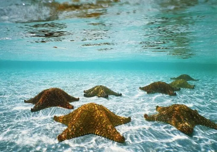 Старая часть Ланты: Coral Garden Resort
