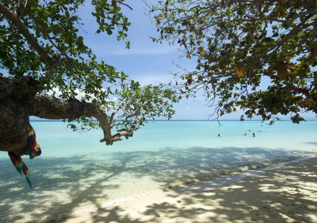 Старая часть Ланты: Coral Garden Resort
