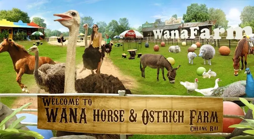 Wana Horse and Ostrich Farm — фото 1