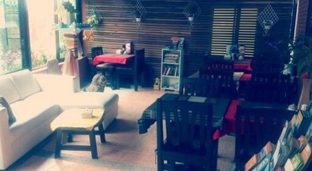 Чиангмай: The Chiang Mai Nest Guest House
