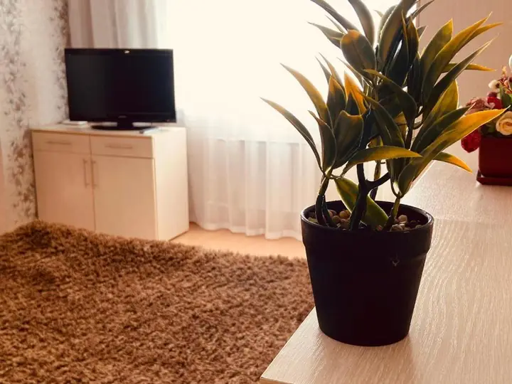 Пенза: Apartment Sura Sport