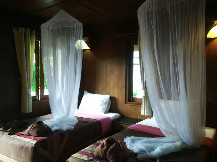Фаном: Khao Sok Cabana Resort