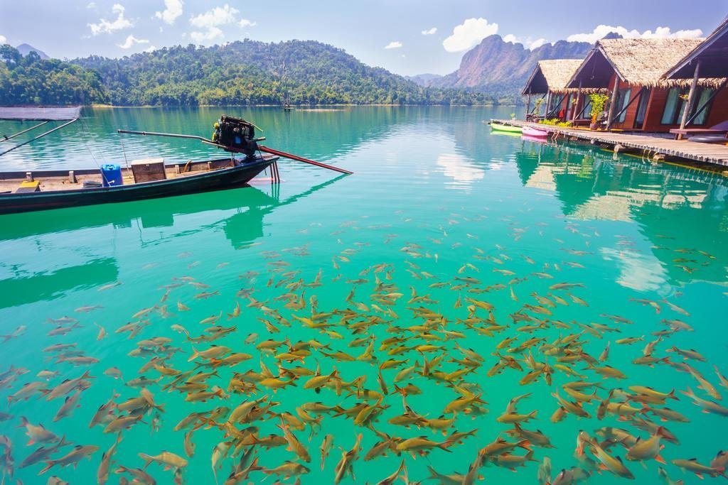 Пхун Пхин: Suratthani Airport Campsite