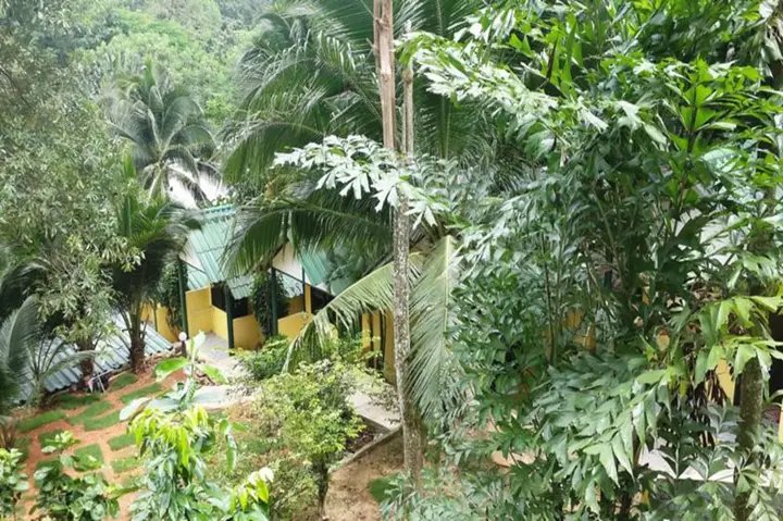 Ко Чанг: Island Lodge