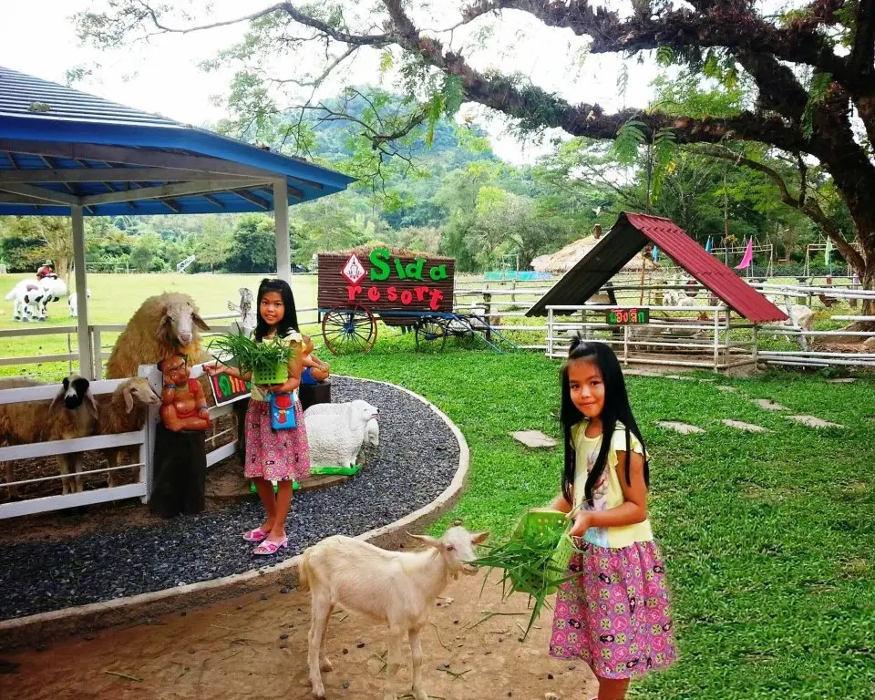 carousel image 2